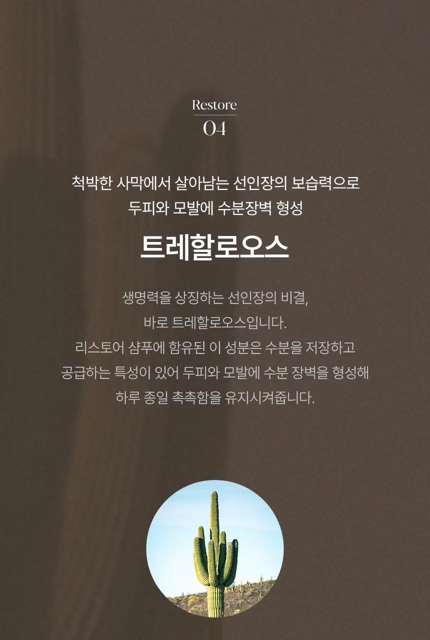 [신규런칭/손상모회복] 이드르르 리스토어 샴푸 390ml 상세페이지 42